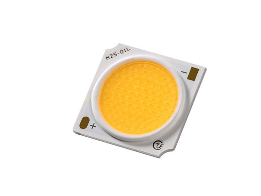 Υδατοασφαλής Chip LED COB 30W Για χρωματικό φωτισμό Πρότυπο ANSI